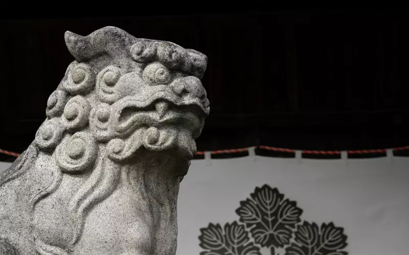 监护人可以代为请求离婚吗？