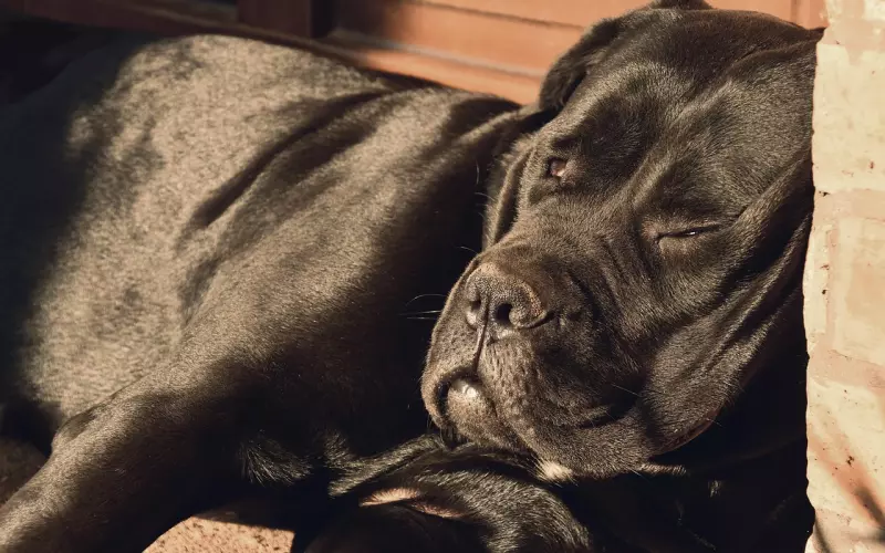 男人死心了还能挽回吗？