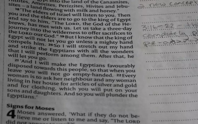 男人出轨离婚后和小三能过好吗(男人出轨小三离婚后怎么挽回)