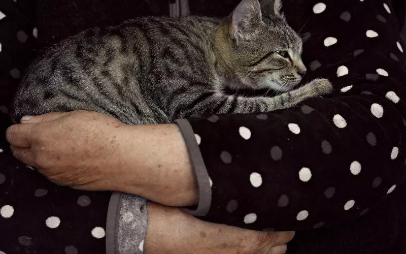 男人说爱你却不肯为你花钱 可以嫁吗