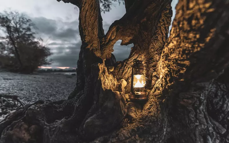 讨厌我的男人能挽回吗