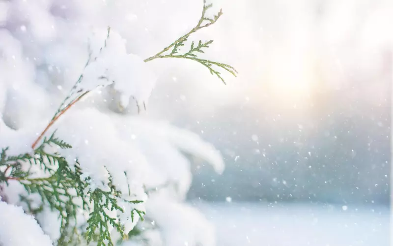 讨厌我的男人能挽回吗