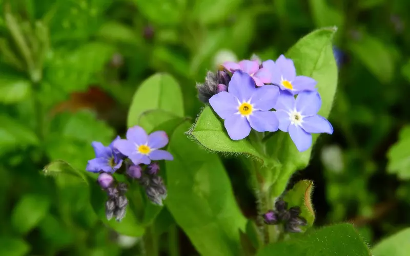 死心不要我的男人真的还能挽回吗