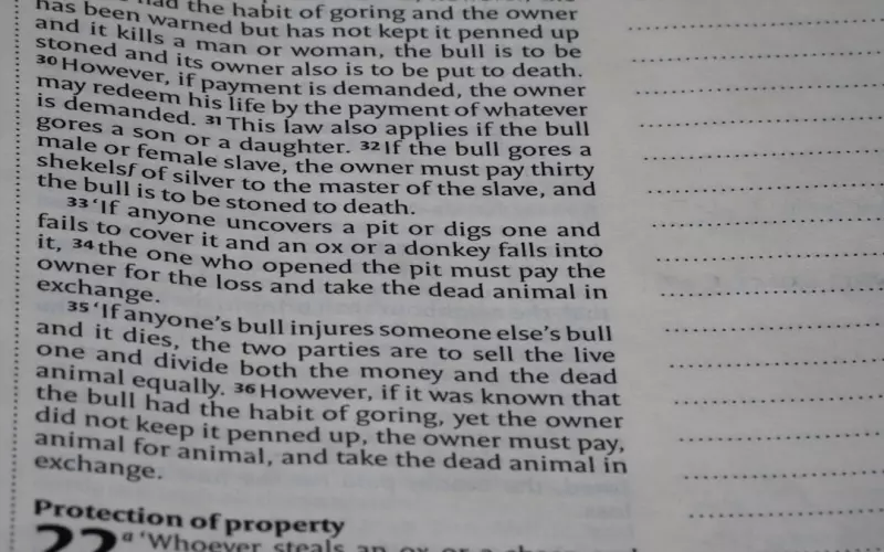 79年属羊男提出离婚后能挽回吗(老公提出离婚怎样挽回)