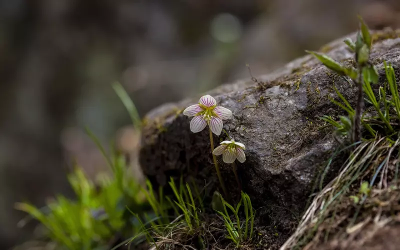 互相挑刺的婚姻还能继续吗？