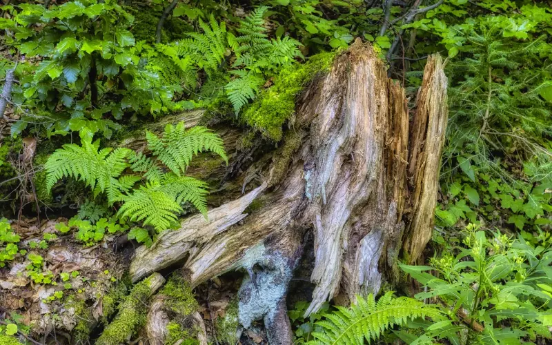 真性分手可以挽回吗？真性分手挽回男友策略