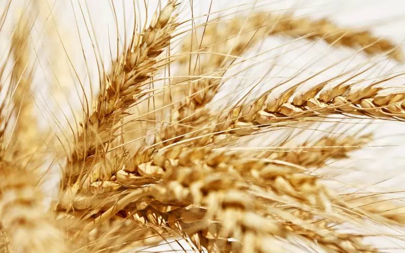 处女座男分手还能挽回吗?，处女男生想复合的征兆