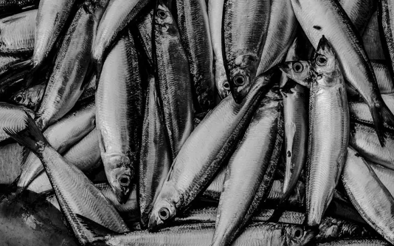 出过轨的女人还能真心对老公吗(出过轨的女人是离婚还是原谅)