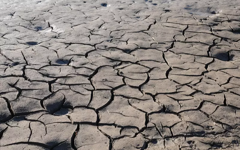 伤透了他的心还能挽回来么