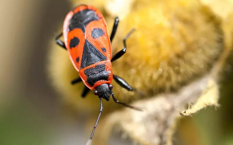 他讨厌我还能挽回吗