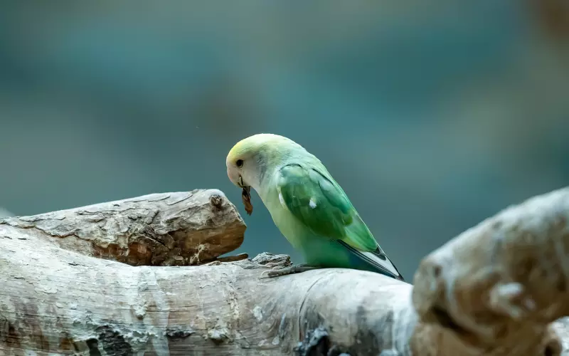 挽回爱情期间可以关注前男友的朋友圈吗？