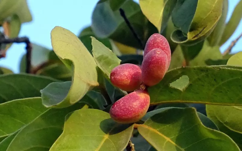 我的老公出轨了还能挽回吗？探讨有效方法和建议