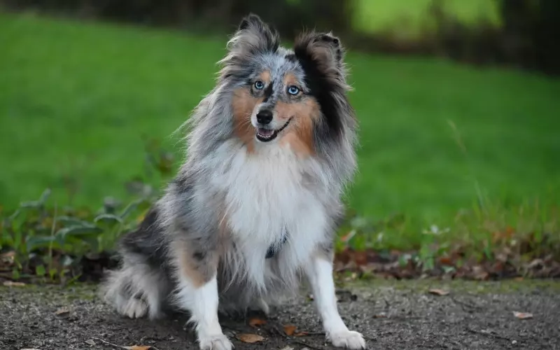 曾经送过的礼物能要回吗：别傻得帮别人养老婆