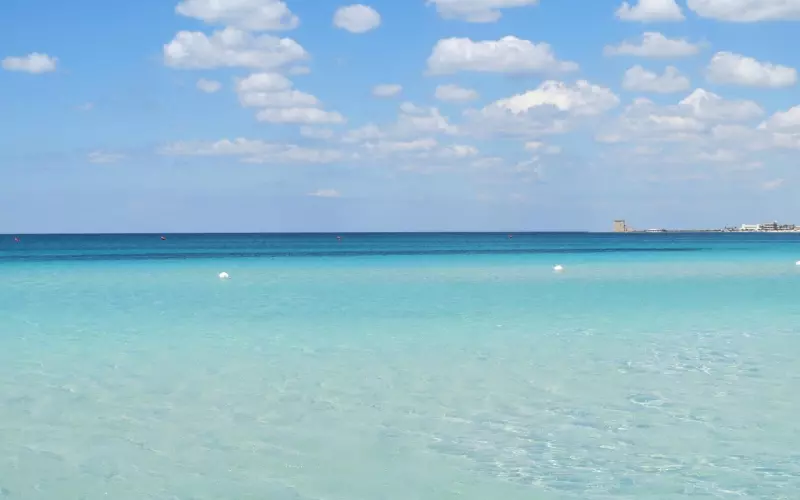 前女友有了新男朋友还能挽回吗  希望大吗