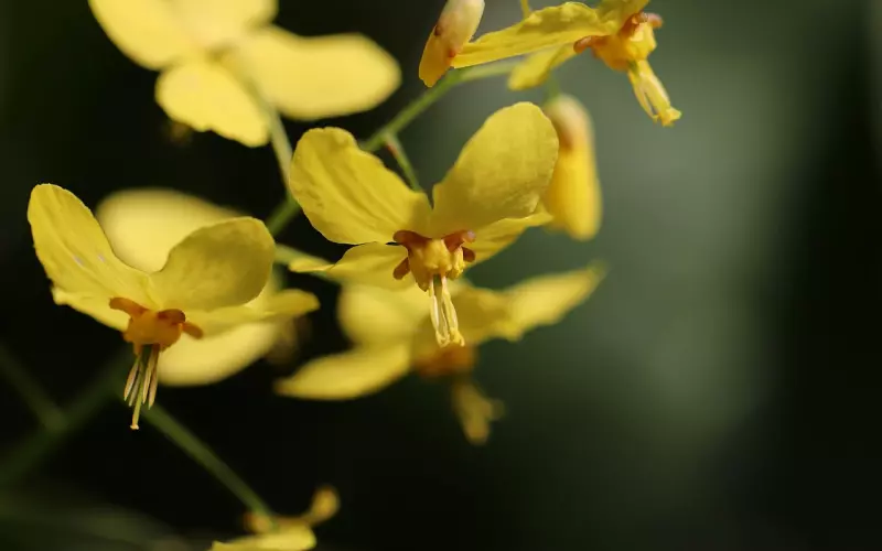 被拉黑异地还能挽回吗