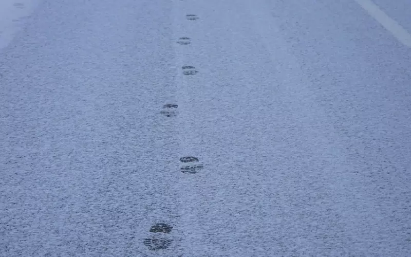 没感觉了还能挽回吗