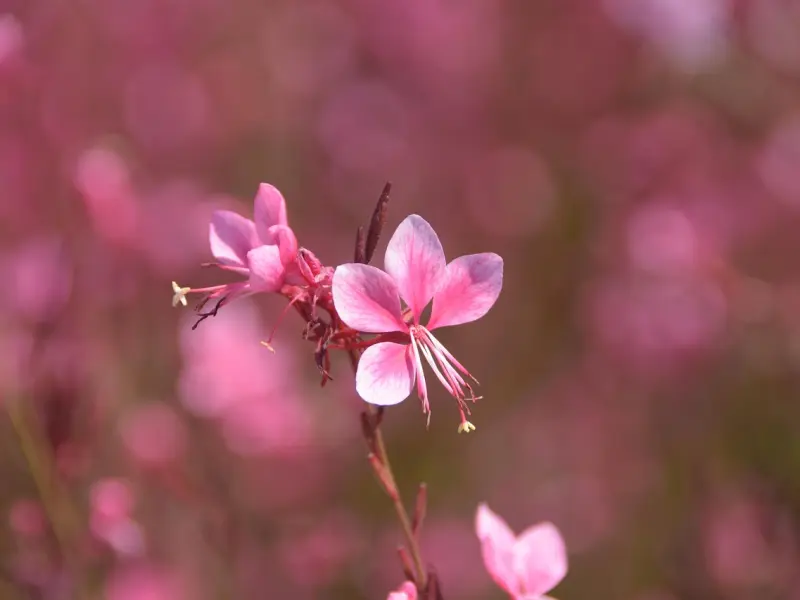 情人节能不能给前任发消息？这种情况最好别！！！