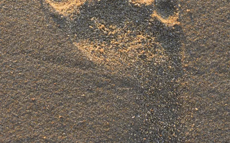 男朋友说没感觉了还能挽回吗   试试这三个方法