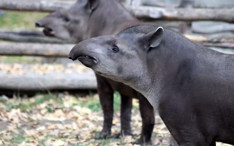 说不合适后还能挽回吗