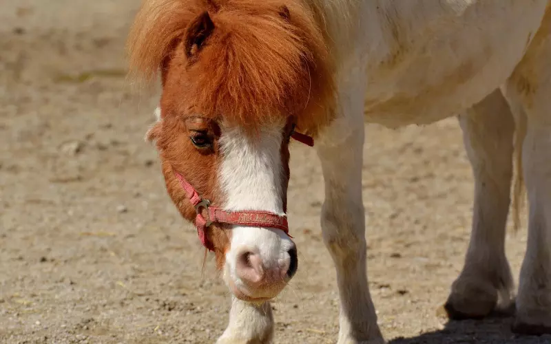 这种情况我还能挽回他吗？