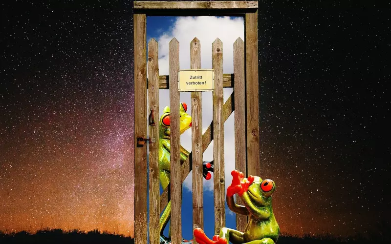 爱情错过了还能挽回吗