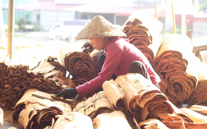 男友突然决绝分手还能挽回吗