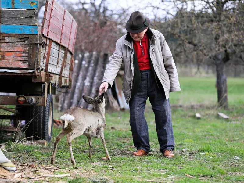 朋友圈也能挽回旧爱？秘笈在这！