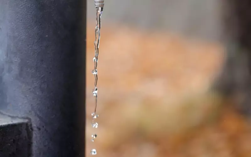 退婚以后还可以挽回吗？