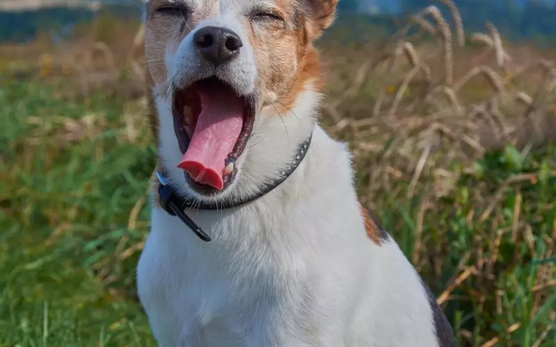 对方说累了能挽回了吗