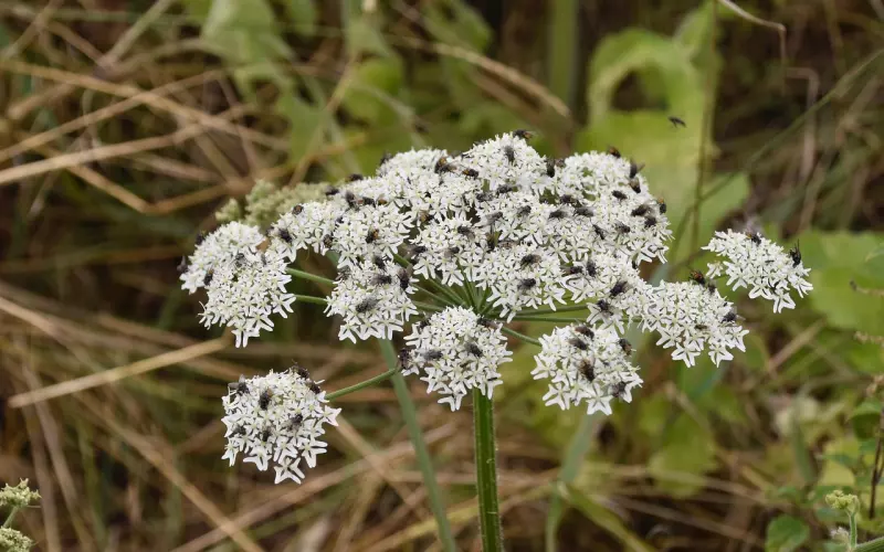 冷战两年感情殆尽还能挽回吗？