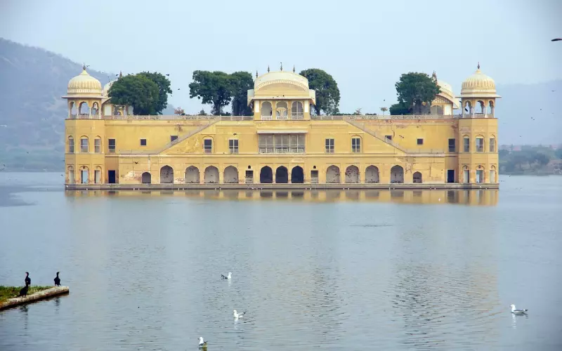 后撤三部曲能让短择变长择？