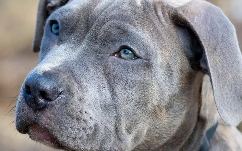 两个人撕破脸分手还能复合吗？