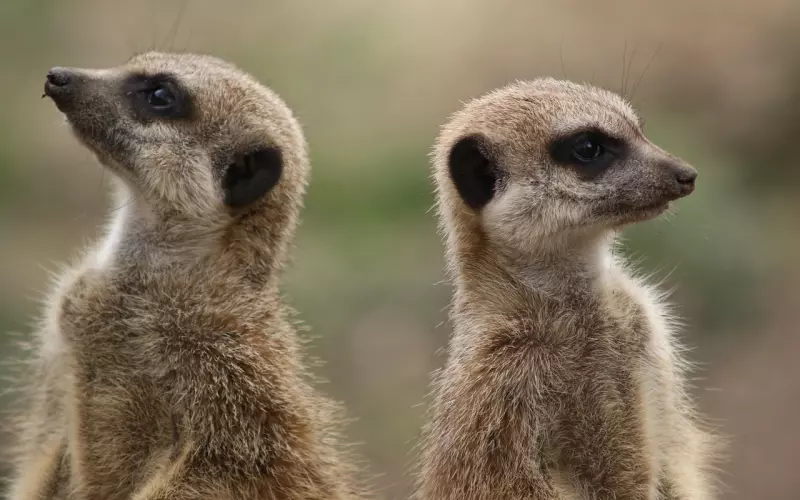 学历不同真的不能相爱吗？