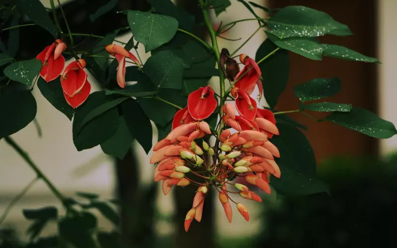 纠缠过后还能挽回吗