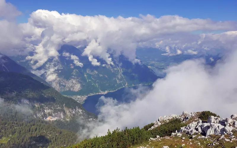 能看哭人的网易云热评句子？待人友善是修养，独来独往是性格