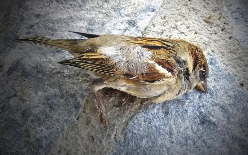 和男友作死分手了还能挽回吗？