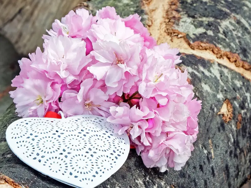 出轨后，还能回归家庭吗?