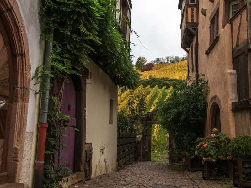 你感情中别再犯低价值了行吗？！（下）