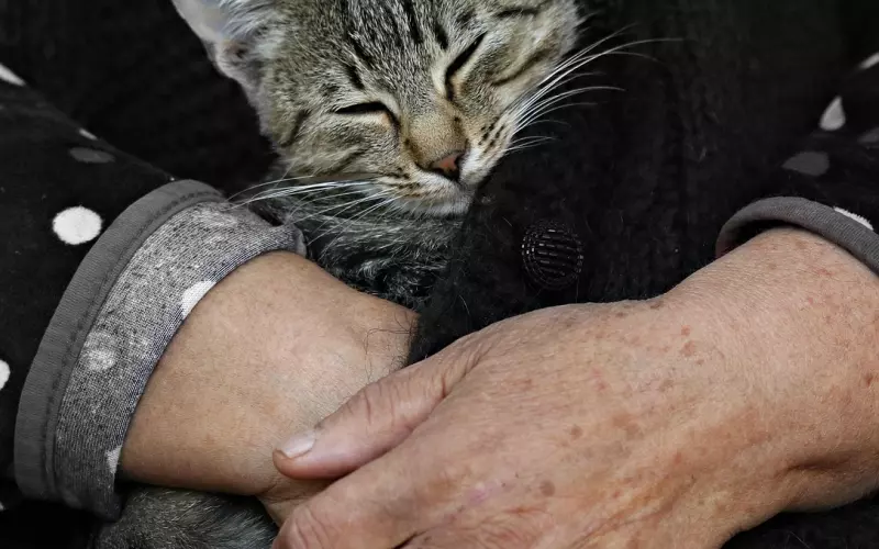 冷落一下 就能看出男人是否真心爱你吗