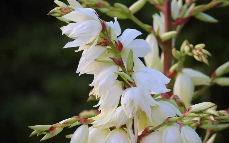 屌丝就不能把妹了么？