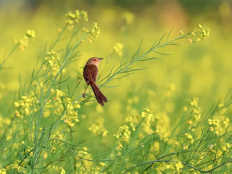 “我改还不行吗”“不行”