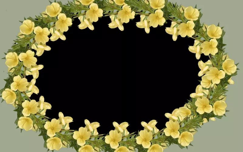 讲 不 出  再 见