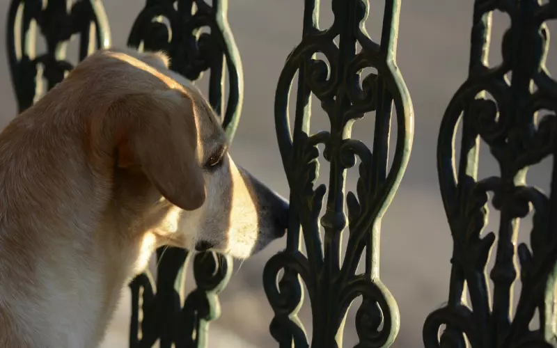 曹云金唐菀离婚：“我养你” 是男人最毒的情话