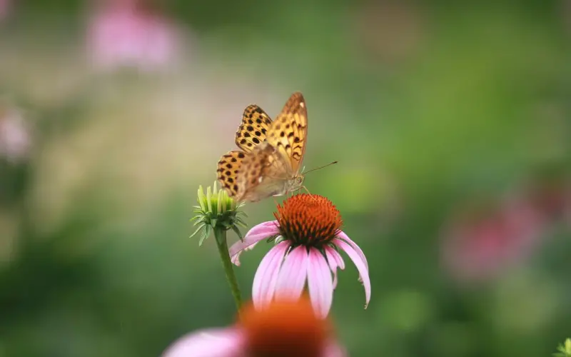 太在乎一个人，往往......