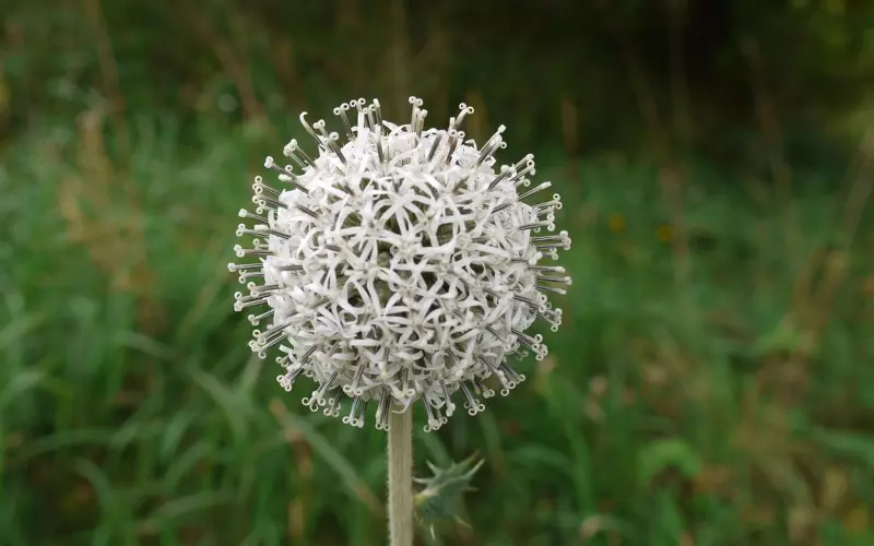 案例分析：想要挽回，你要先搞清楚你们分手的根本原因