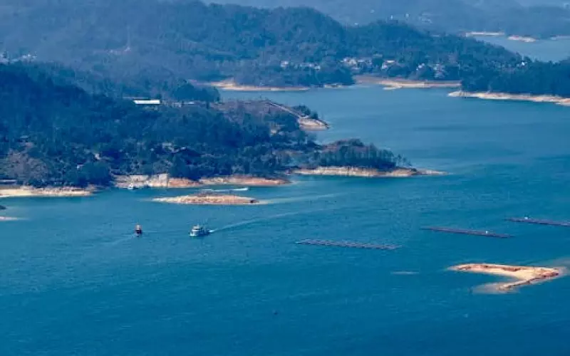 湖北省婚外情引发的案件(湖北一女子发生婚外情)