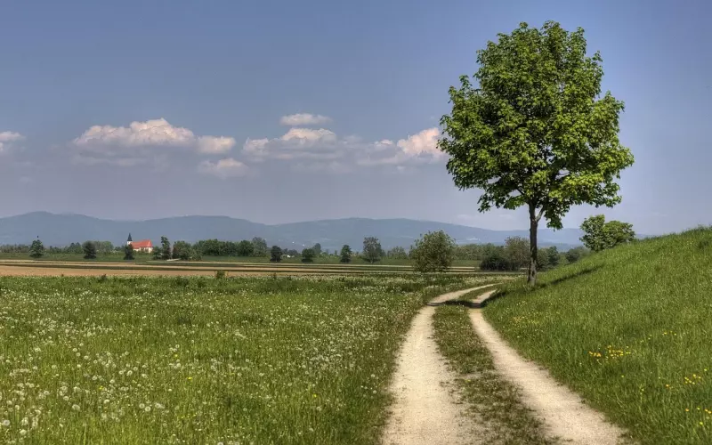 改变沟通方式，增加对方对你的好感