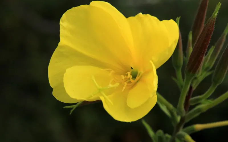 细节见人品，小事见人心