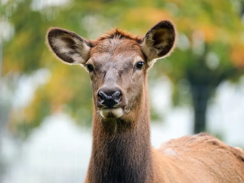 追？不！把妹靠的是吸引！请看以下劲爆案例！