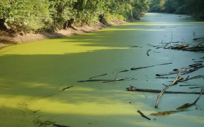 追女生不仅仅要吸引，还有很多！